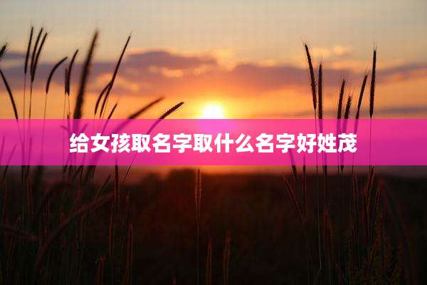 给女孩取名字取什么名字好姓茂