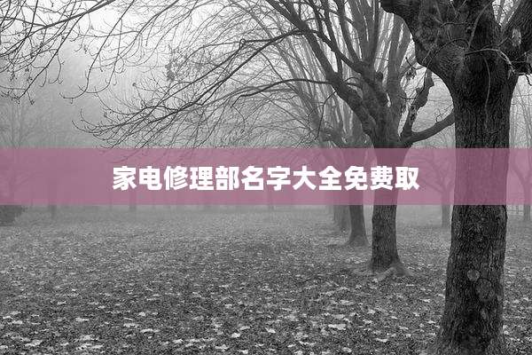 家电修理部名字大全免费取