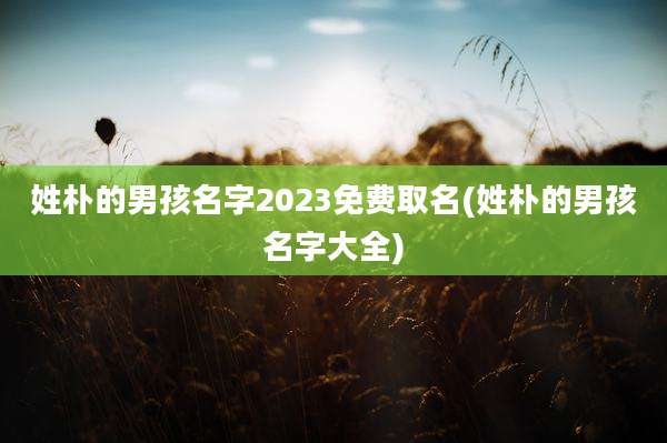 姓朴的男孩名字2023免费取名(姓朴的男孩名字大全)
