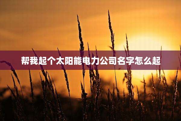 帮我起个太阳能电力公司名字怎么起