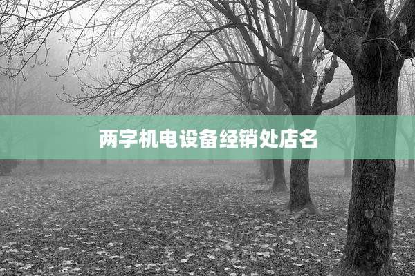 两字机电设备经销处店名