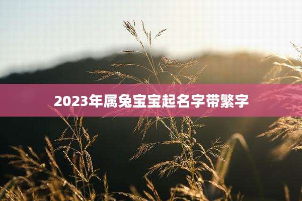 2023年属兔宝宝起名字带繁字