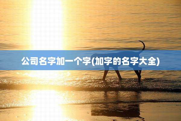 公司名字加一个字(加字的名字大全)