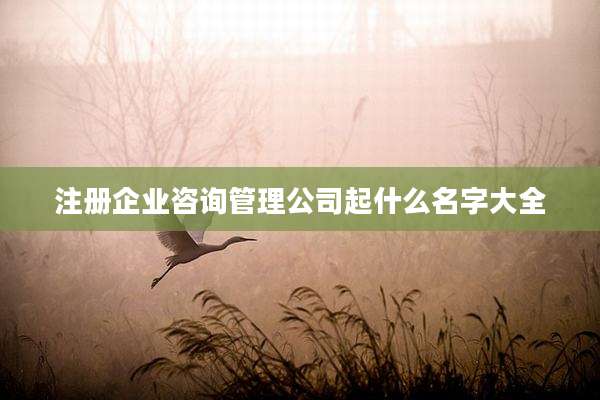 注册企业咨询管理公司起什么名字大全