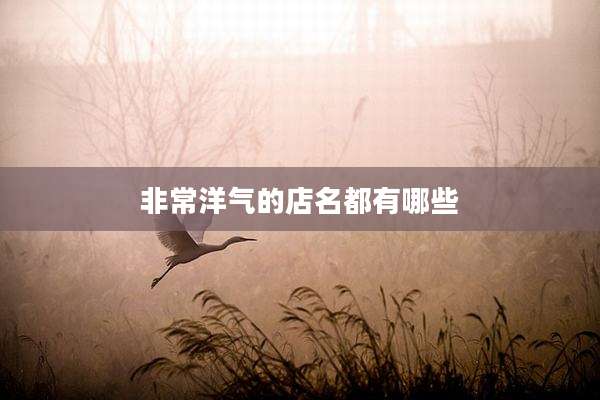 非常洋气的店名都有哪些