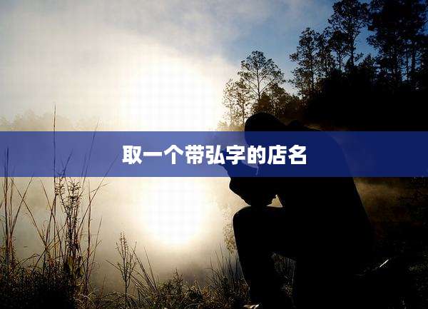 取一个带弘字的店名