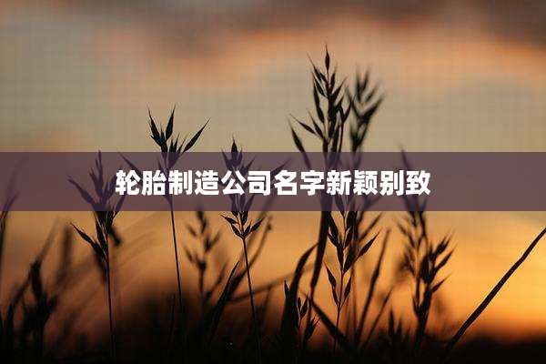 轮胎制造公司名字新颖别致
