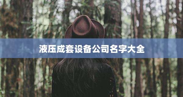 液压成套设备公司名字大全