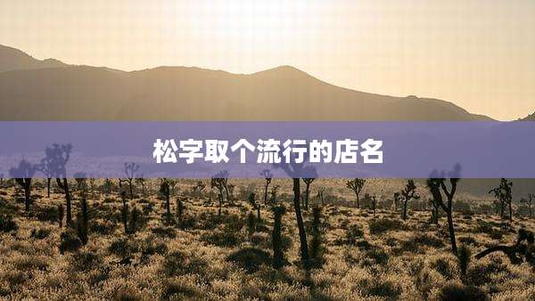 松字取个流行的店名