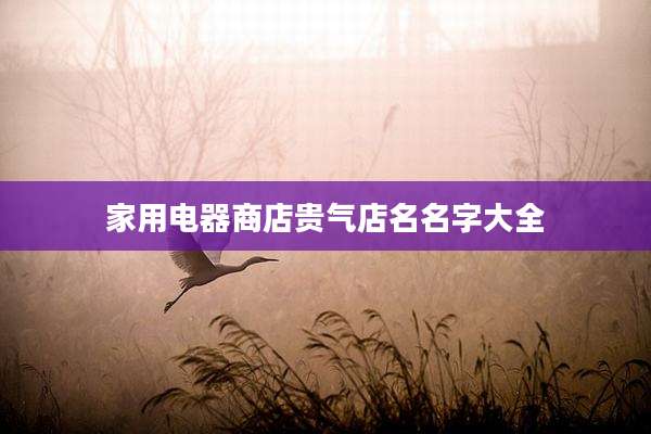 家用电器商店贵气店名名字大全