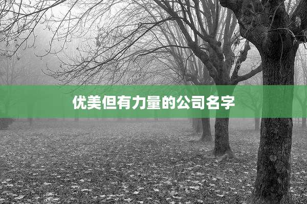 优美但有力量的公司名字