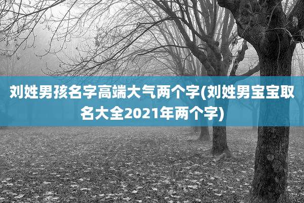 刘姓男孩名字高端大气两个字(刘姓男宝宝取名大全2021年两个字)