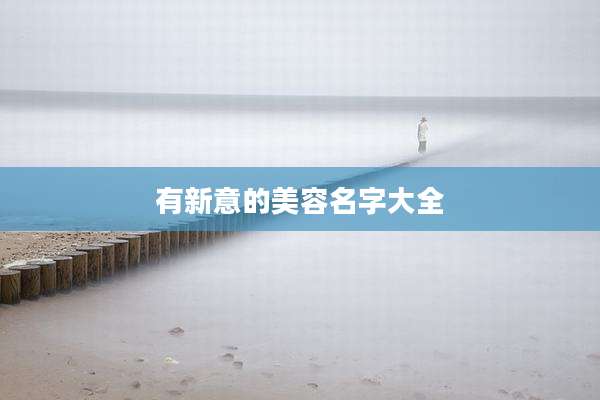 有新意的美容名字大全
