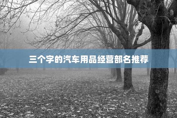 三个字的汽车用品经营部名推荐