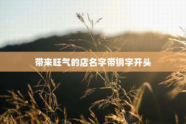 带来旺气的店名字带钢字开头