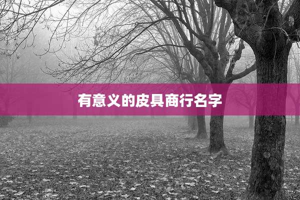 有意义的皮具商行名字