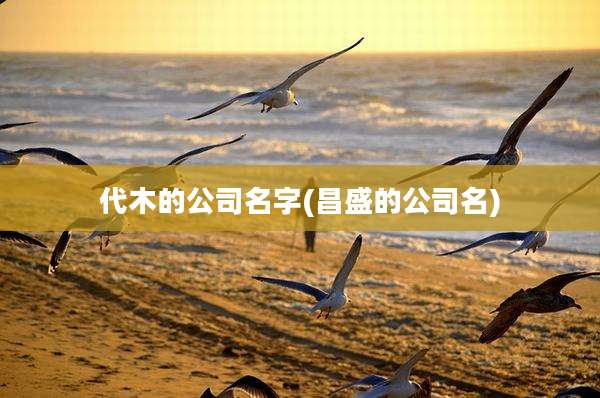 代木的公司名字(昌盛的公司名)