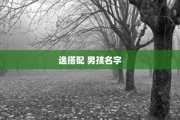 逸搭配 男孩名字