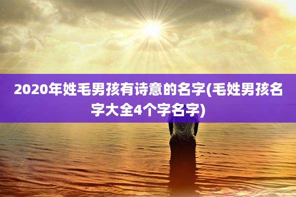 2020年姓毛男孩有诗意的名字(毛姓男孩名字大全4个字名字)