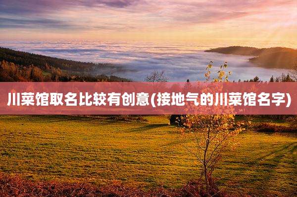川菜馆取名比较有创意(接地气的川菜馆名字)
