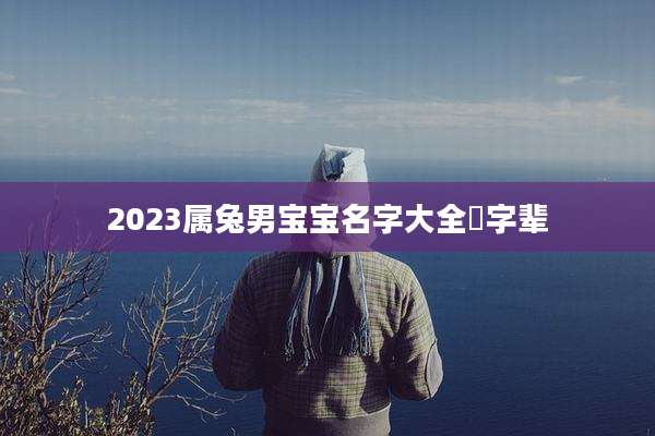 2023属兔男宝宝名字大全燊字辈