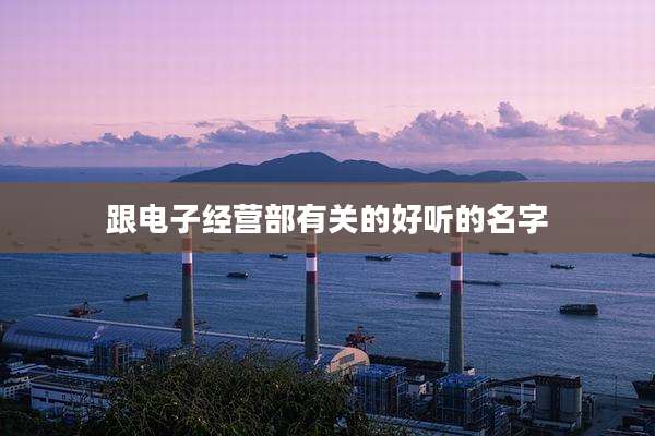 跟电子经营部有关的好听的名字