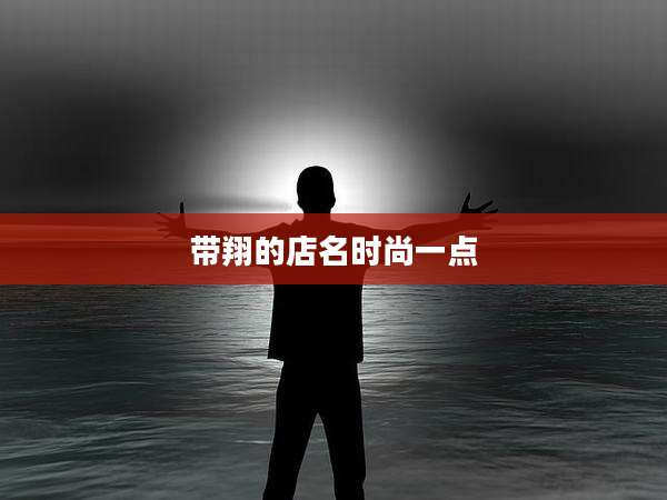 带翔的店名时尚一点