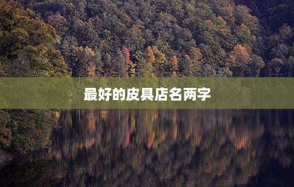 最好的皮具店名两字