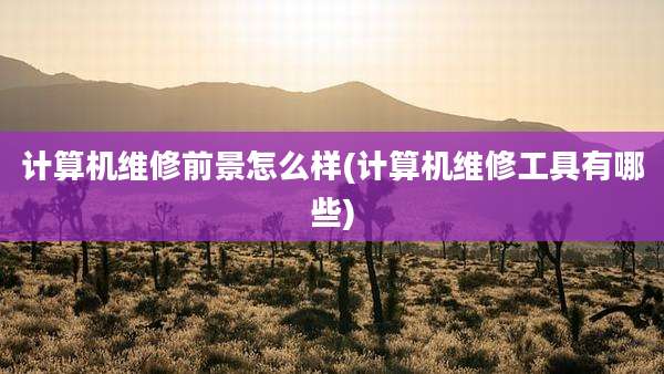 计算机维修前景怎么样(计算机维修工具有哪些)