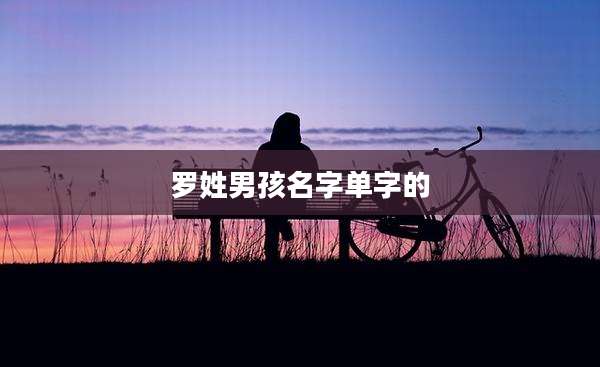罗姓男孩名字单字的