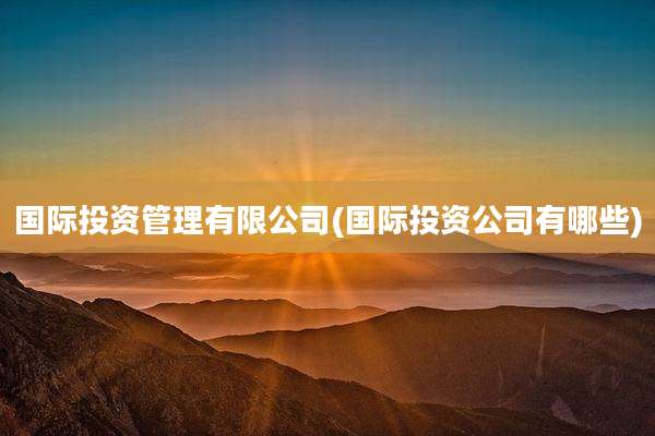 国际投资管理有限公司(国际投资公司有哪些)