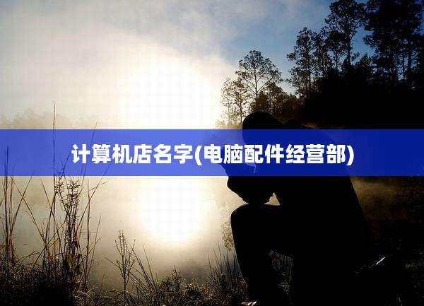 计算机店名字(电脑配件经营部)