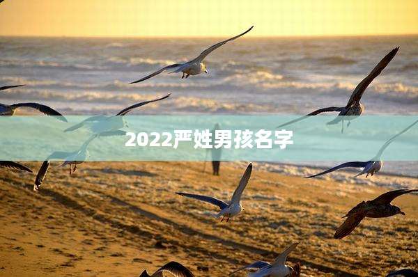 2022严姓男孩名字