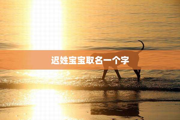 迟姓宝宝取名一个字