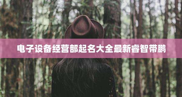 电子设备经营部起名大全最新睿智带鹏