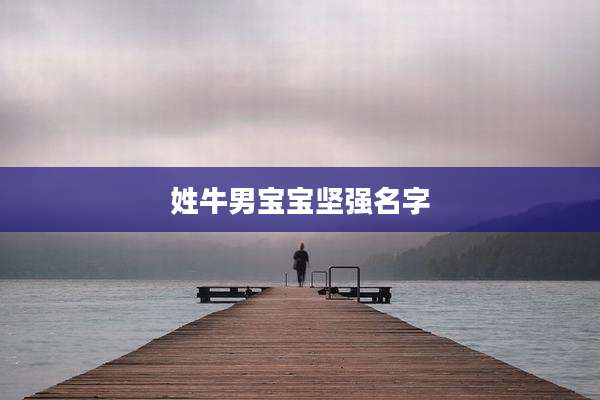 姓牛男宝宝坚强名字