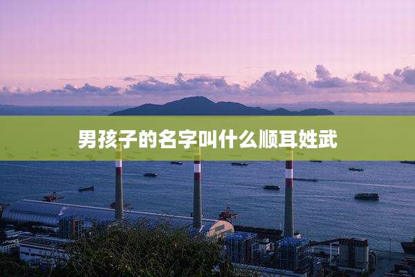 男孩子的名字叫什么顺耳姓武