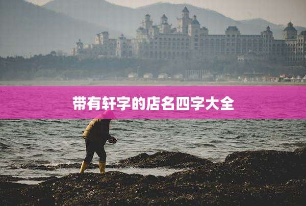 带有轩字的店名四字大全