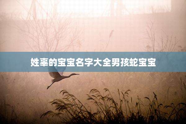 姓辜的宝宝名字大全男孩蛇宝宝