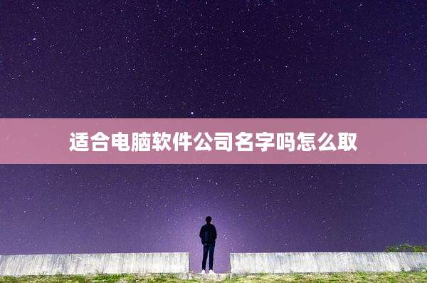 适合电脑软件公司名字吗怎么取