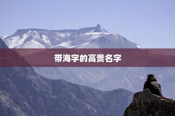 带海字的高贵名字