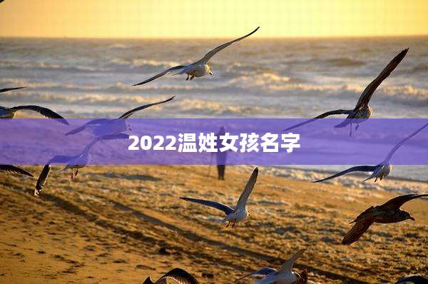 2022温姓女孩名字