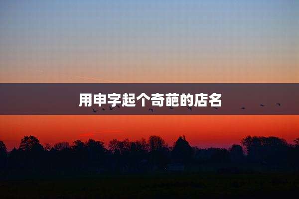 用申字起个奇葩的店名