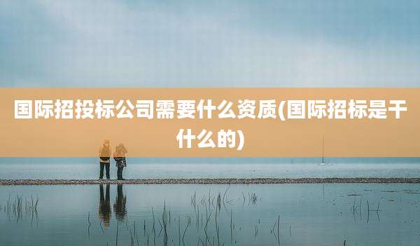 国际招投标公司需要什么资质(国际招标是干什么的)