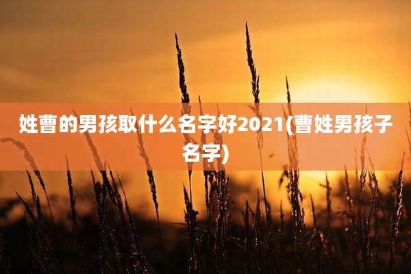 姓曹的男孩取什么名字好2021(曹姓男孩子名字)