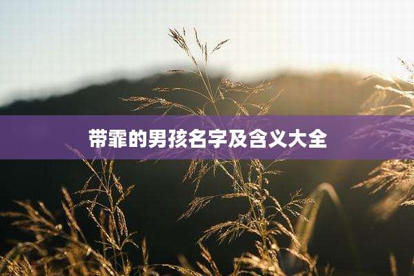 带霏的男孩名字及含义大全