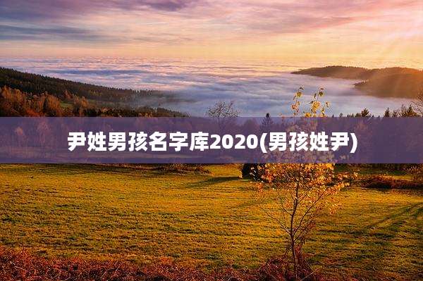 尹姓男孩名字库2020(男孩姓尹)