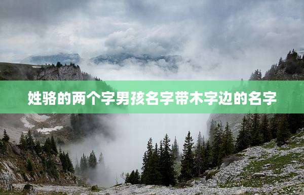 姓骆的两个字男孩名字带木字边的名字