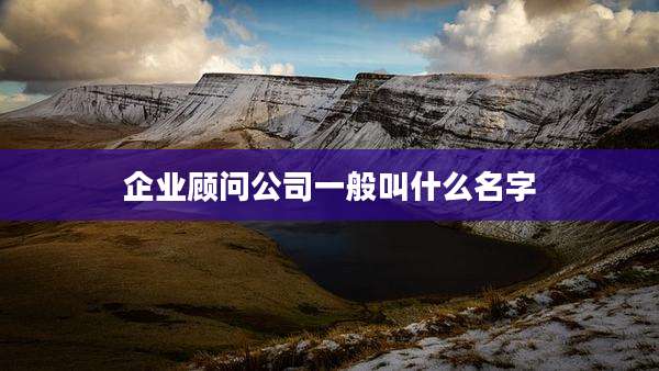 企业顾问公司一般叫什么名字
