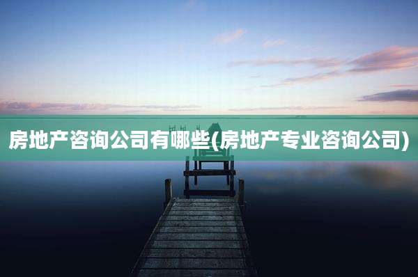 房地产咨询公司有哪些(房地产专业咨询公司)